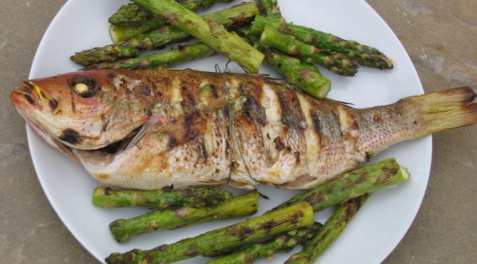  Ikan Salema Porgy, Bisa Bikin Berhalusinasi yang Makan. (Foto: elizabethyarnell.com)