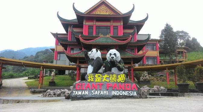 Panda akan segera hadir di Taman Safari (Liputan6.com/ Achmad Sudarno)