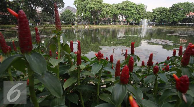 Suasana di Taman Situ Lembang, Jakarta, (25/8). Dinas Pertamanan dan Pemakaman DKI menyebutkan total luas RTH di Jakarta sekitar 9,98 persen, padahal luas ideal RTH suatu kota adalah 30 persen dari luas wilayah. (Liputan6.com/Immanuel Antonius)