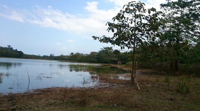 Togo Motonu kampung yang tenggelam