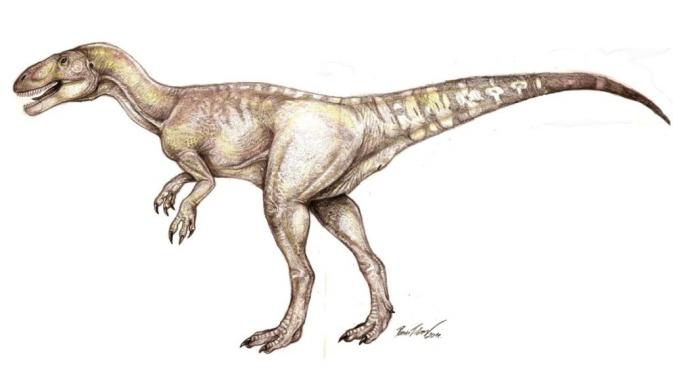 theropod dinosaurs (wikipedia)