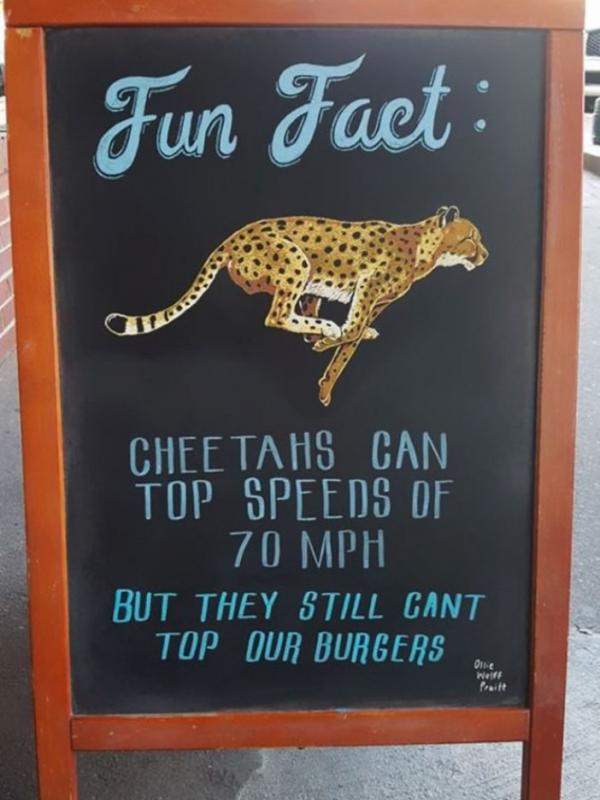 Fun Fact: Cheetah nggak bisa meraih burger kami. (Via: boredpanda.com)