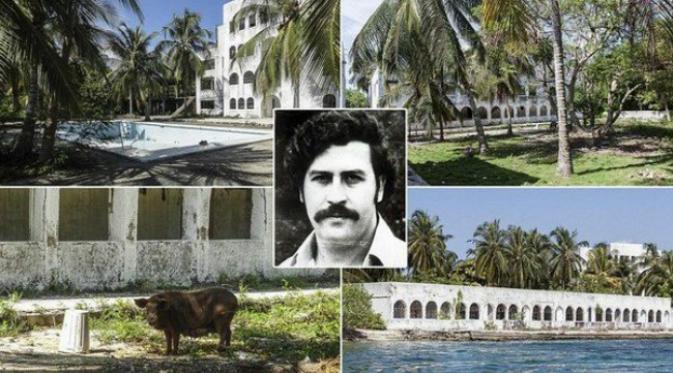 Sudah 23 berlalu sejak kematian gembong narkoba Pablo Escobar, tapi ia masih mewariskan masalah. (Sumber viralismo.com)