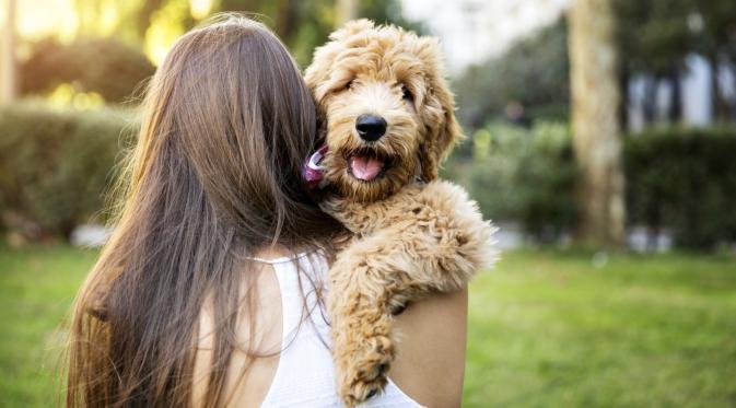10 Alasan Kenapa Memelihara Anjing Membuat Hidupmu Lebih Sehat. (Foto: huffpost.com)