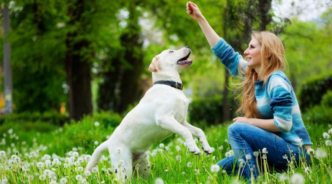 10 Alasan Kenapa Memelihara Anjing Membuat Hidupmu Lebih Sehat. (Foto: cdn.skim.gs)