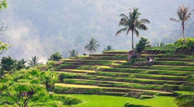 Desa Paling Indah di Dunia Ada di Sumatera Barat Indonesia