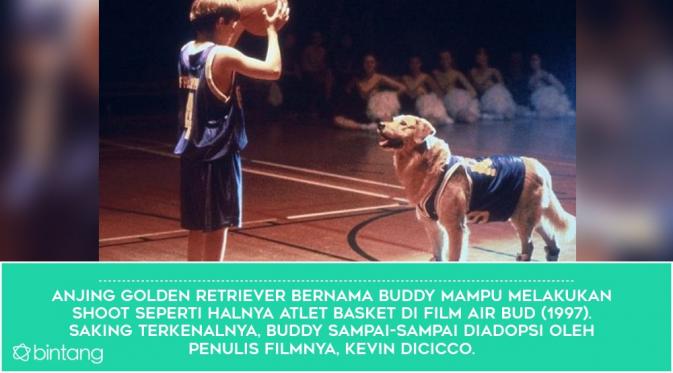 Buddy (Foto: screenrant, Desain: Nurman Abdul Hakim/Bintang.com)