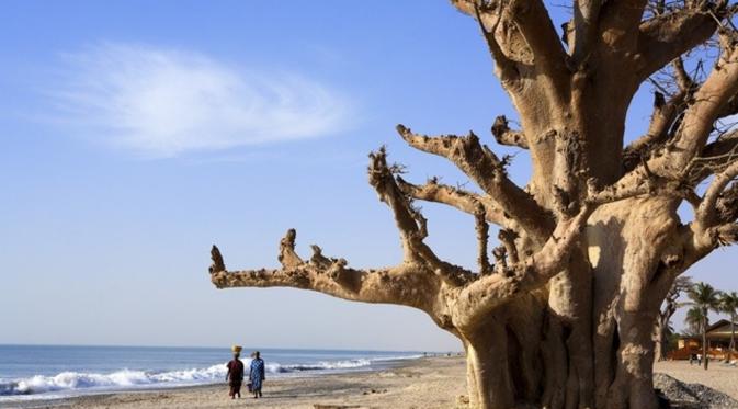 Saloum Delta, Senegal. (Hemis.fr/SuperStock)