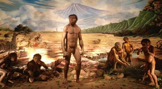 Homo Erectus di wilayah Nusantara. foto: zenius.net