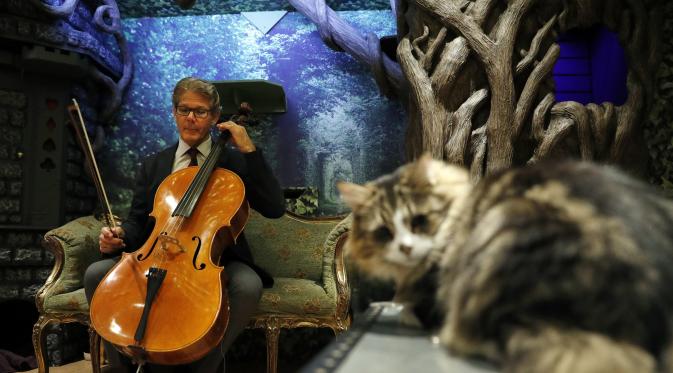 Komposer AS dan pemain cello, David Teie, memainkan salah satu lagu saat mempromosikan album Music For Cats di London, 18 Oktober 2016. Seperti diketahui, Teie memang tertarik pada penciptaan musik untuk spesies tertentu sejak 2009. (ADRIAN DENNIS/AFP)
