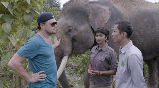 Cuplikan film dokumenter Before The Flood, saat Leonardo DiCaprio mengunjungi Taman Nasional Gunung Leuser (IMDb)