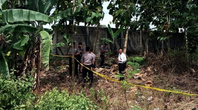 Kerbau terkapar setelah menginjak bom rakitan di Jalan Bakulan-Imogiri, Bantul, DIY. (Liputan6.com/Yanuar H)