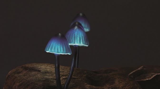 Lampu jamur ini bisa menjadi inspirasi Anda menghias kamar (foto : inhabitant.com)