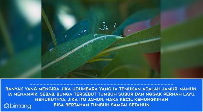 Fakta 2. (Digital Imaging: Nurman Abdul Hakim)