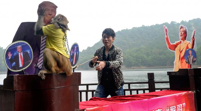 Seekor monyet mencium foto Donald Trump saat memprediksi hasil Pilpres AS 2016, di Changsha, Provinsi Hunan, China, Kamis (3/11). Awalnya, monyet ini terdiam di antara foto Donald Trum dan rivalnya, Hillary Clinton. (REUTERS/Stringer)