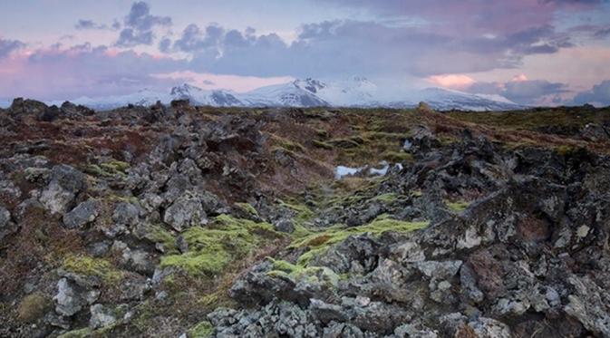Padang lava di Islandia. (monikachace/myBudgetTravel)