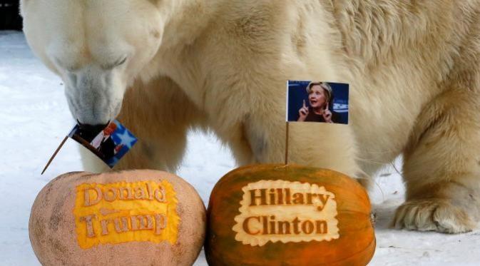 Felix, beruang kutub memilih Donald Trump (Reuters)