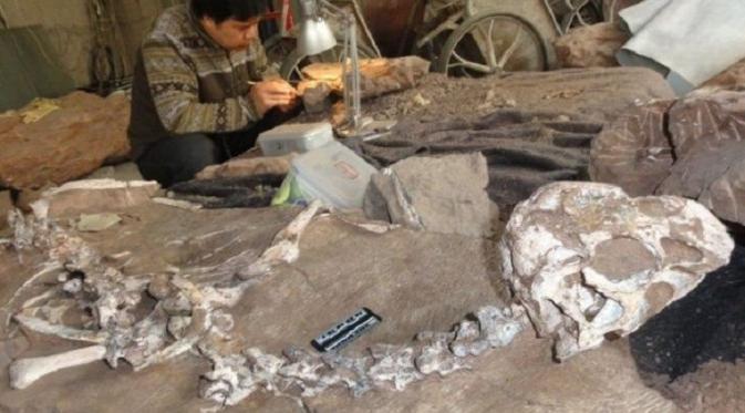 Ditemukan Spesies Baru Dinosaurus Terjebak dalam Lumpur | BBC