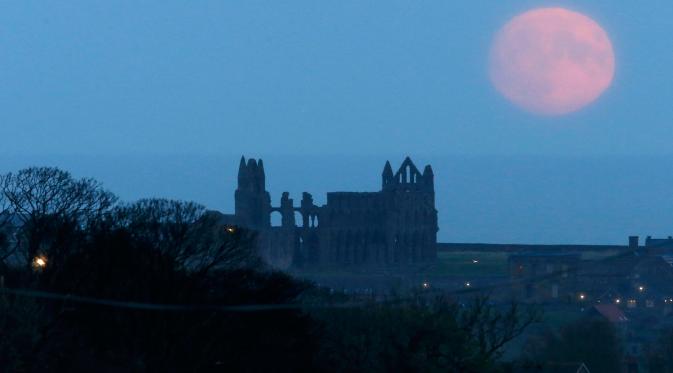 Fenomena supermoon menghiasi Whitby Abbey, di North Yorkshire, Inggris (13/11). Fenomena ini merupakan bulan paling besar dan terang dalam kurun 70 tahun terakhir. (REUTERS/Craig Brough)