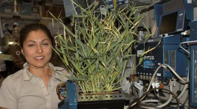 Peneliti NASA, Anousheh Ansari, memperlihatkan tanaman yang tumbuh dalam modul pesawat luar angkasa. Foto : NASA