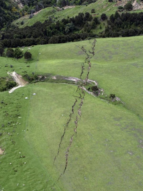 Dampak gempa di dekat Kaikoura, New Zealand. (David Alexander/SNPA via AP)
