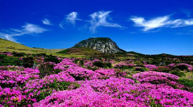 Pulau Jeju adalah sebuah pulau yang berada di provinsi Jeju, Korea Selatan.