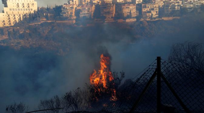 Kebakaran Hebat Landa Israel, 80.000 Orang Dievakuasi (Reuters)