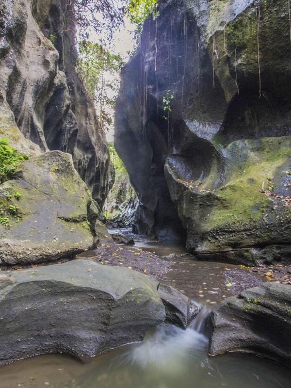 Beji Guwang, Gianyar, Bali. (tempatwisatadibali.id)