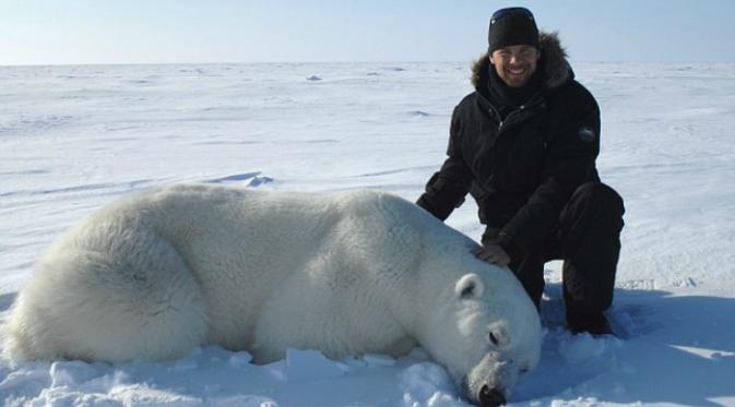 Pilford bekerja untuk melindungi beruang kutub dari ancaman manusia dan perubahan iklim. (Dr Nicholas Pilfold)