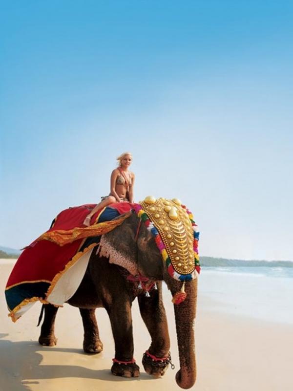 Goa, India. (Ken Kochey)