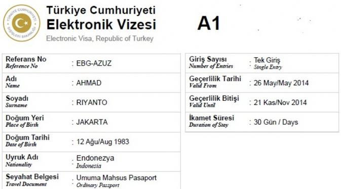 Ilustrasi e-Visa Turki. (kucingbloon.wordpress.com)