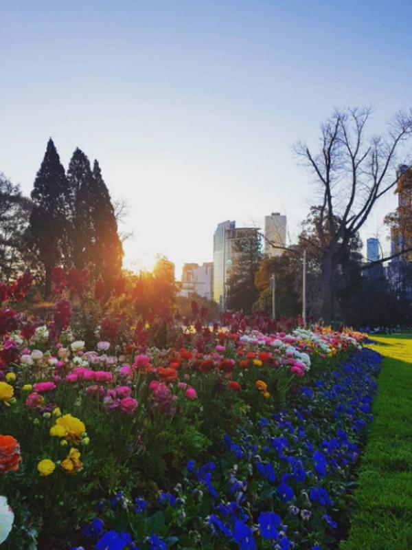Royal Botanical Gardens, Melbourne, Australia. (jessvandas/Instagram)