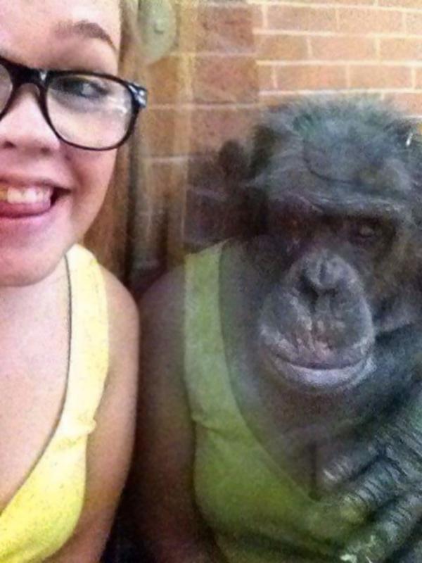 Refleksi badan perempuan yang bikin tampak monyet pakai tanktop. (Via: boredpanda.com)