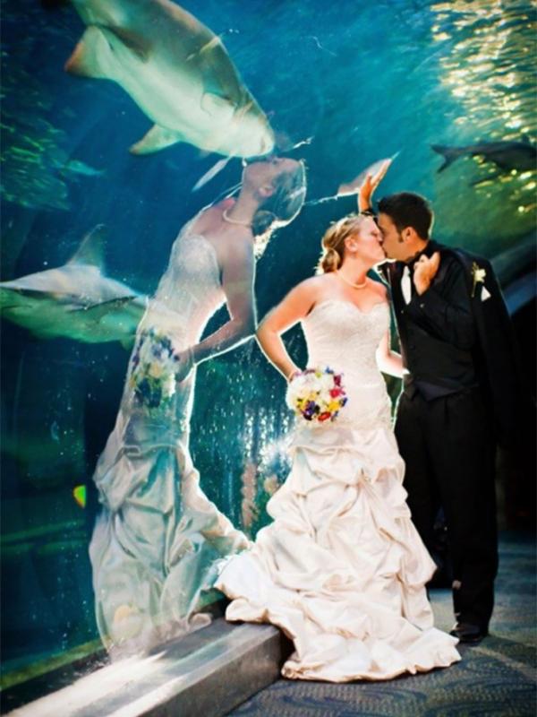 Refleksi pengantin yang tampak seperti ciuman sama lumba-lumba. (Via: boredpanda.com)