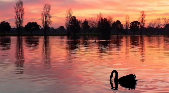 Albert Park Lake, Melbourne, Australia. (australia.com)