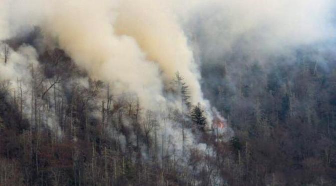 Kebakaran di hutan Great Smoky Mountains (Reuters)