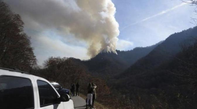 Kebakaran di hutan Great Smoky Mountains (Reuters)
