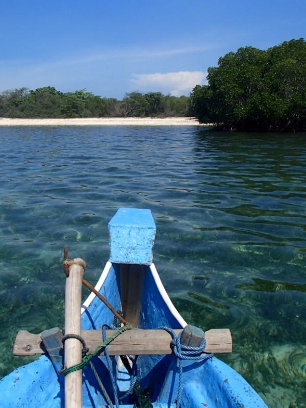 Pulau Giliyang, Madura. (upiono.blogspot.com)