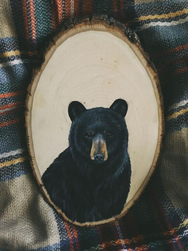 Beruang madu. (Via: boredpanda.com)