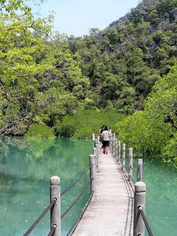 Kilim Karst Geoforest Park, Langkawi, Malaysia. (juliajohari.com)