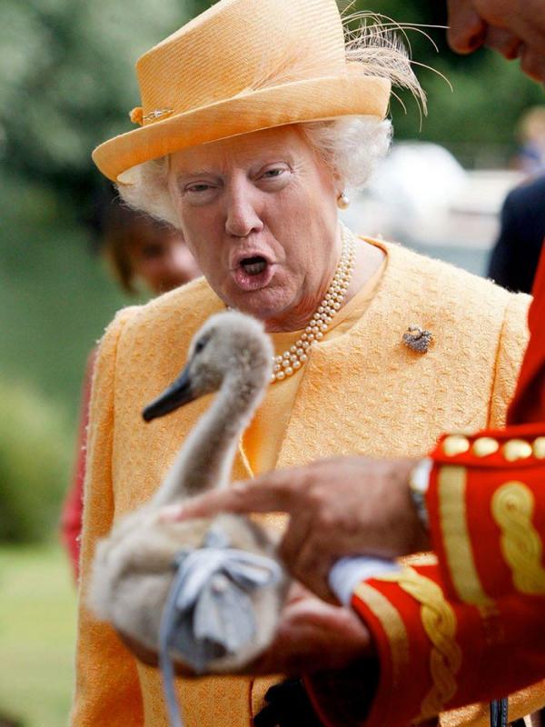 Meme Queen Trump. (Via: boredpanda.com)