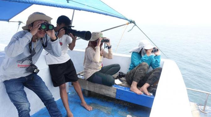Memantau burung laut (Tim Burung Laut Indonesia)
