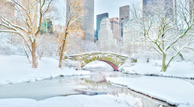 Central Park, New York City. (Getty)