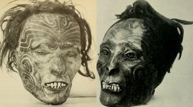 Kepala-kepala yang diawetkan itu dihiasi dengan tato tā moko yang merupakan bentuk seni tradisional bangsa Māori. (Sumber The American Museum of Natural History)