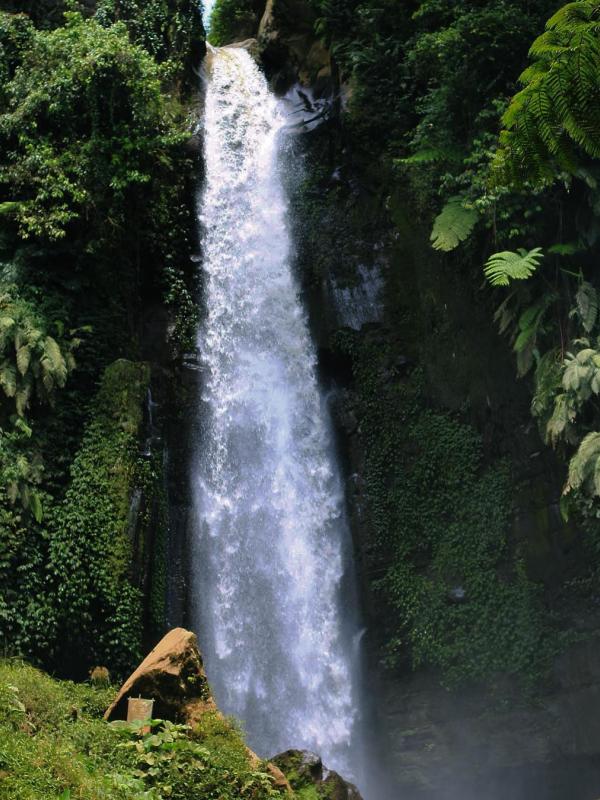 Coban Talun, Batu, Jawa Timur. (dian.septia/Instagram)