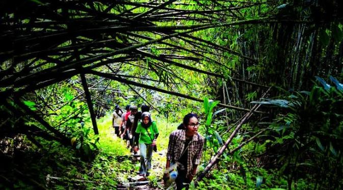 Tradisi tanam bambu di Malut (Liputan6.com / Hairil Hiar)