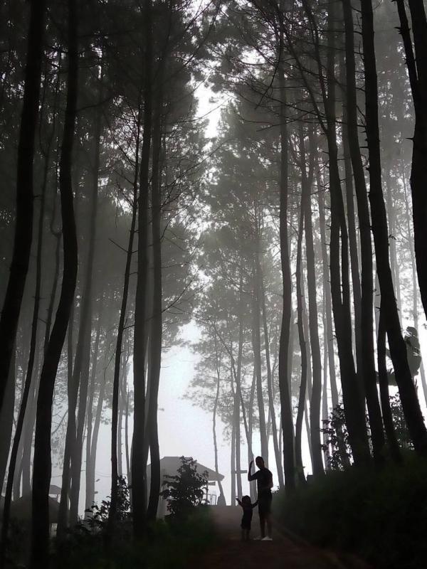 Bukit Moko, Bandung, Jawa Barat. (warmanwardhani/Instagram)