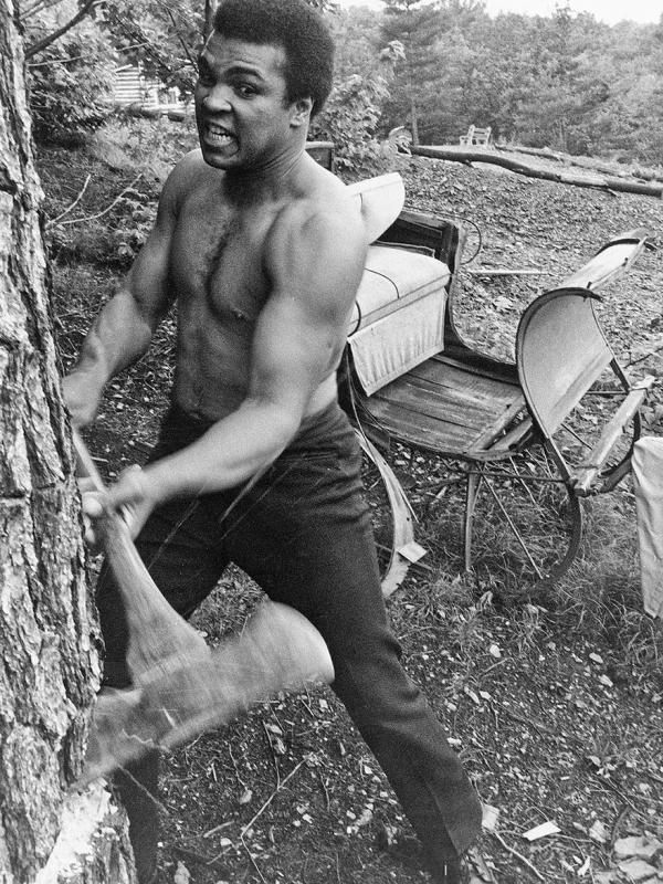 Muhammad Ali menebang pohon. (Via: boredpanda.com)