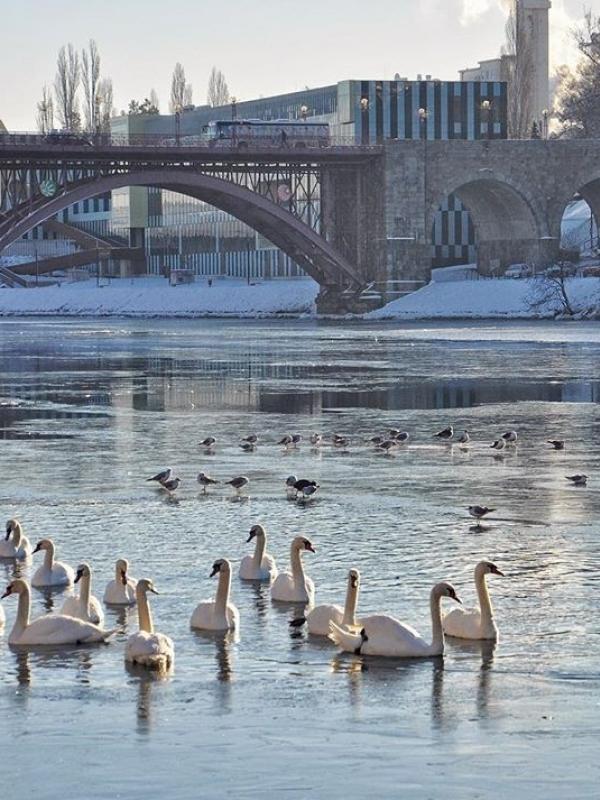 Maribor, Slovenia. (bojanasphotos/Instagram)