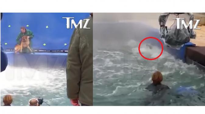 Dalam syuting film A Dog's Purpose, seekor anjing dipaksa masuk dalam kolam berarus deras (Sumber: TMZ/Youtube)